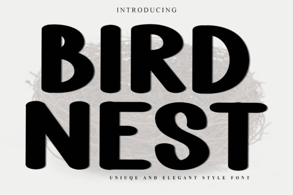Bird Nest Font for Creative Projects