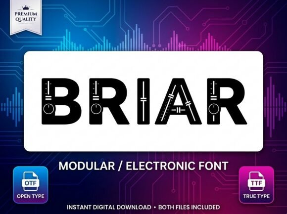 Briar Font: Bold Design for Editorial Impact